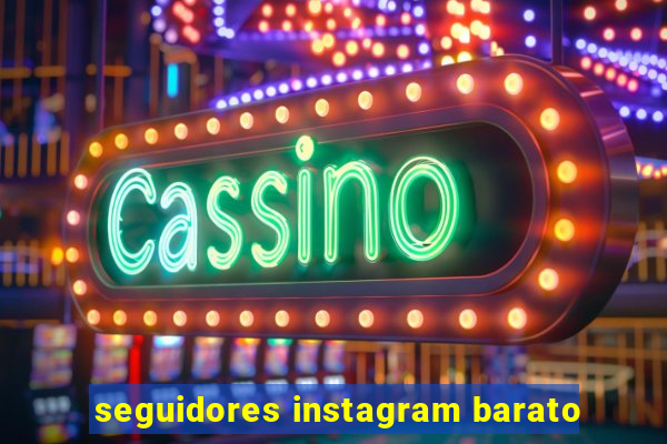 seguidores instagram barato